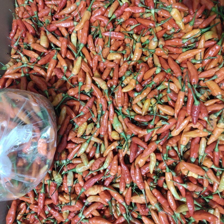 

CABE RAWIT MERAH / CABAI 500gram