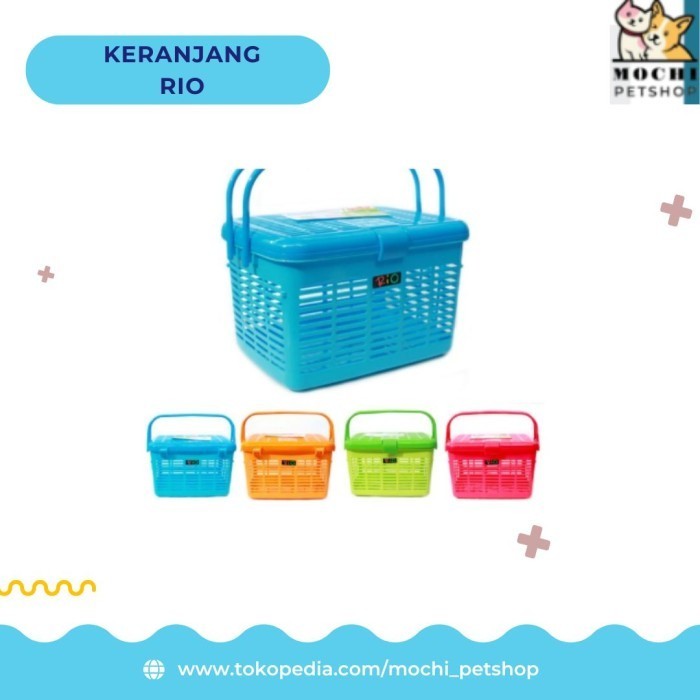 KERANJANG RIO KUCING