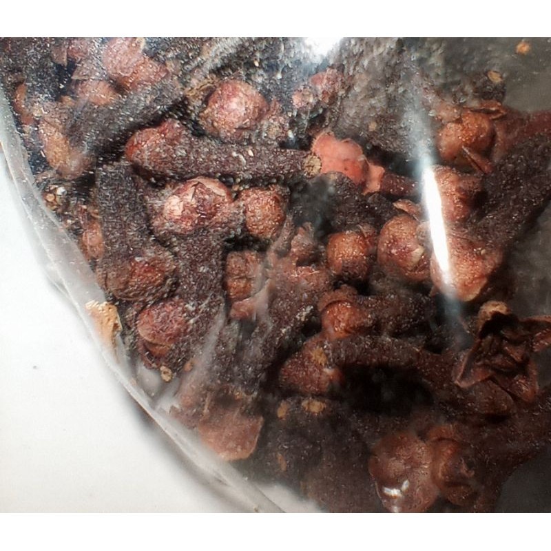 

Cengkeh/Cengkih/clove premium murah petani langsung rempah bumbu wedang jamu