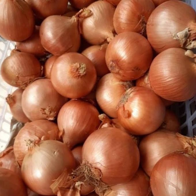 bawang bombay murah 1kg