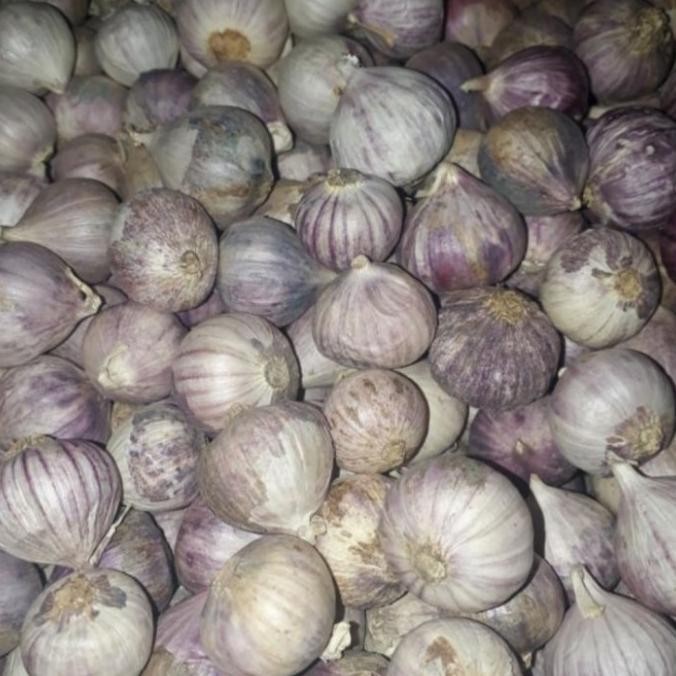 

Bawang Putih Tunggal Ungu 250gr