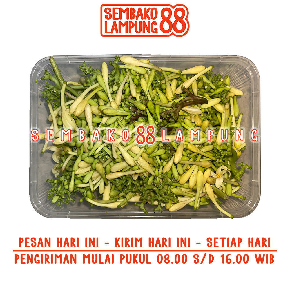 

Bunga Pepaya 250 Gr | Sembako Lampung 88