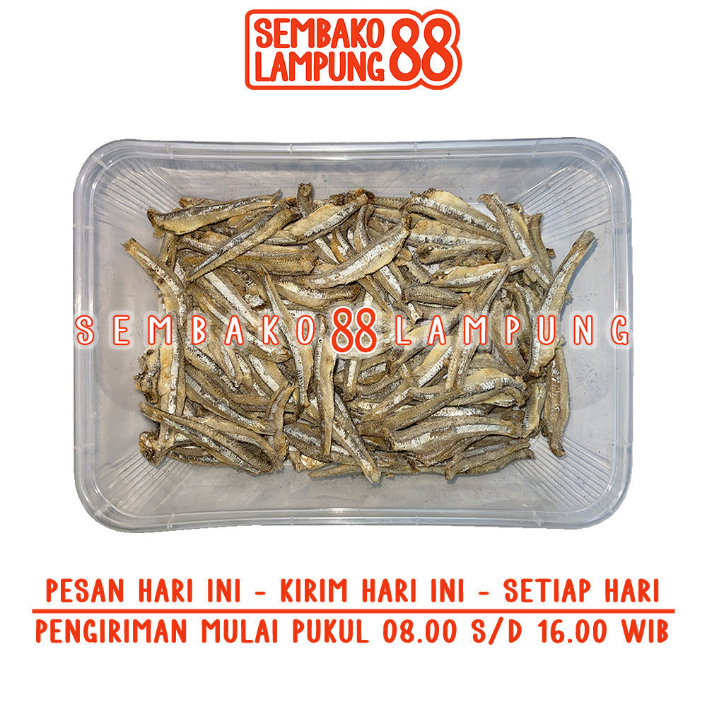 

Ikan Asin Teri 100 Gr | Sembako Lampung 88