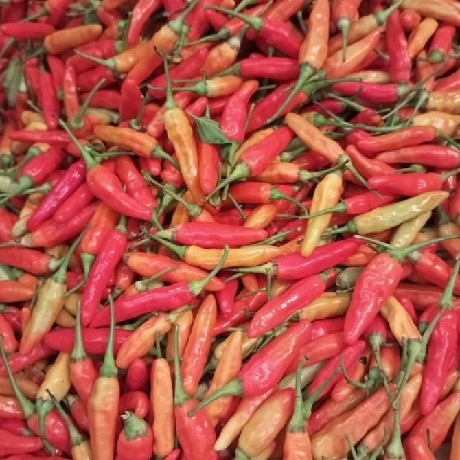 

PROMO Bawang Merah Besar Sedang 1/2 Kg Bawang Putih Sinco 1/2 Kg Bonus Cabe BERKUALITAS