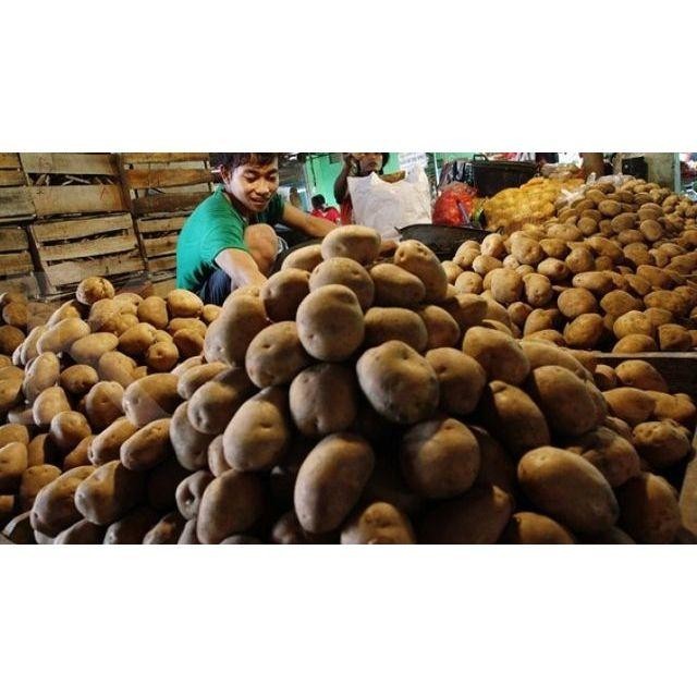 

Kentang Dieng Super 500 Gr Fresh Dari Petani Ulala