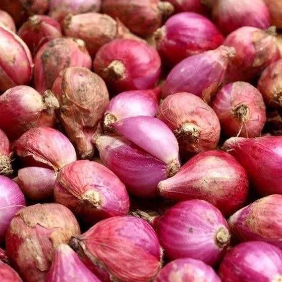 

TERMURAH Bawang Merah Sedang 1 Kg Berkwalitas Kering - Shuffel BAGUS