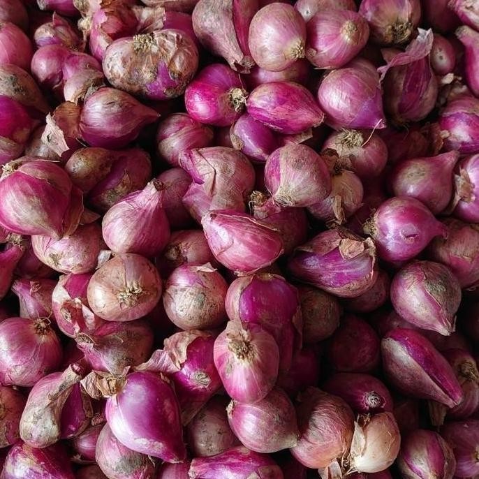 

BERKUALITAS Bawang Merah Sedang 500 Gr Berkwalitas Kering - Shuffel MURAH