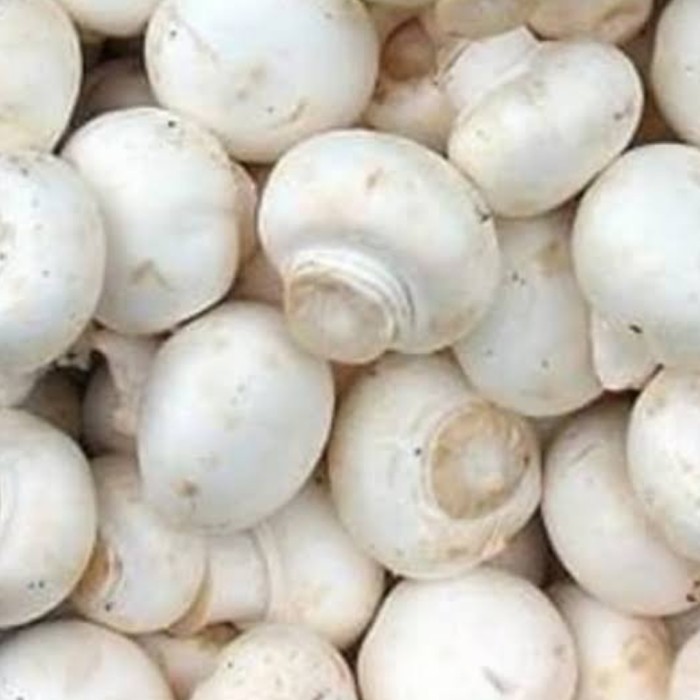

jamur kancing champignon mushroom segar - 100 gram