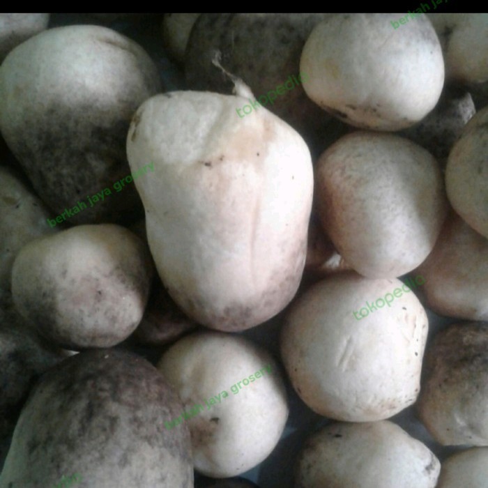 

jamur merang segar - 100 gram