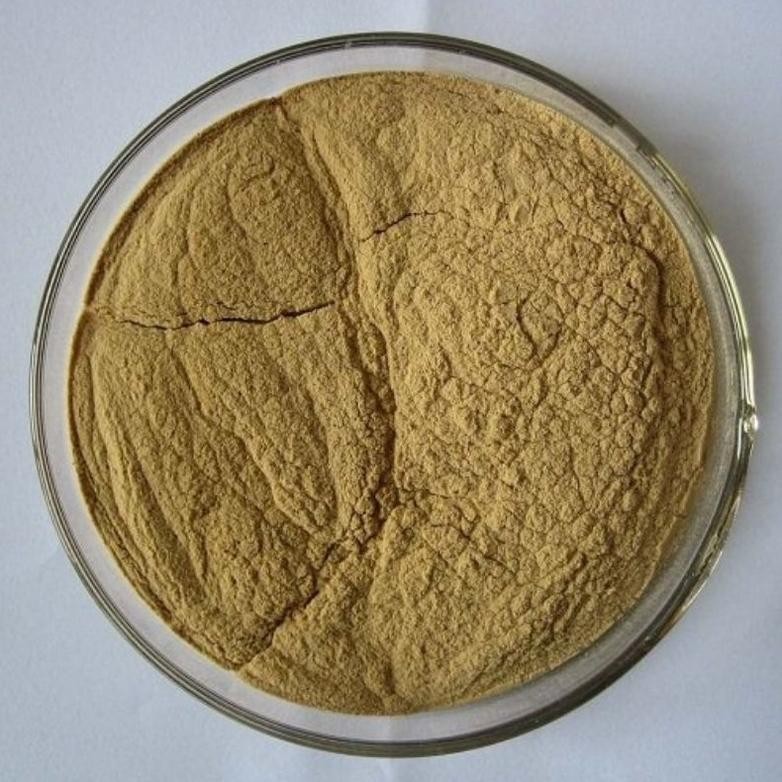 

1KG SERBUK BUBUK KENCUR KAEMPFERIA GALANGA ISI 1 KG RO35