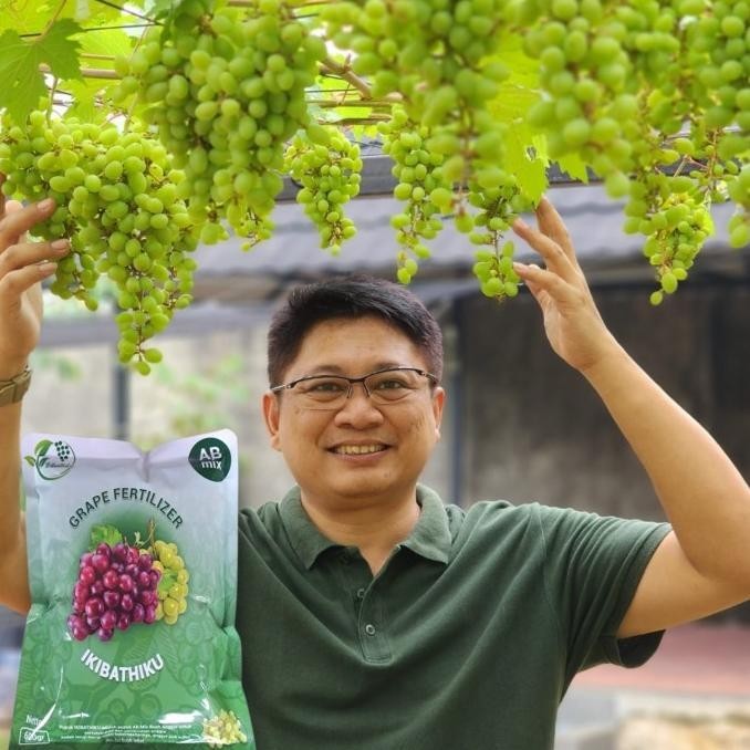 Pupuk Anggur AB Mix IKIBATHIKU