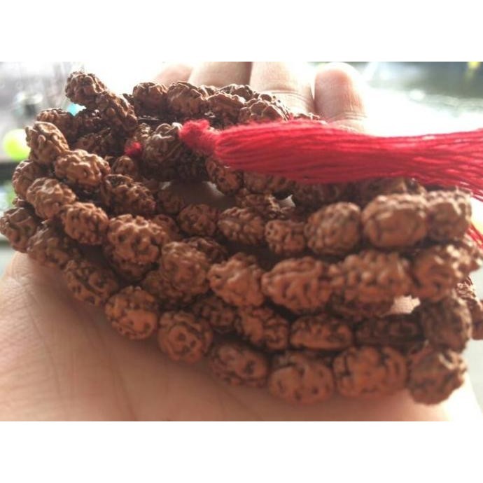 Tasbih 3 Mukhi ( 3 Garis ) Rudraksha / Jenitri Kecil / Biji Bodhi