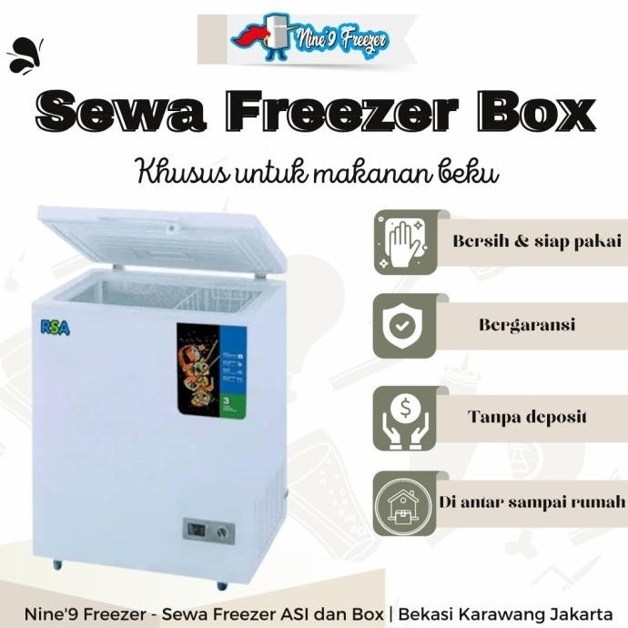 Sewa Freezer Box Chest RSA 100 liter bukaan atas frozen food