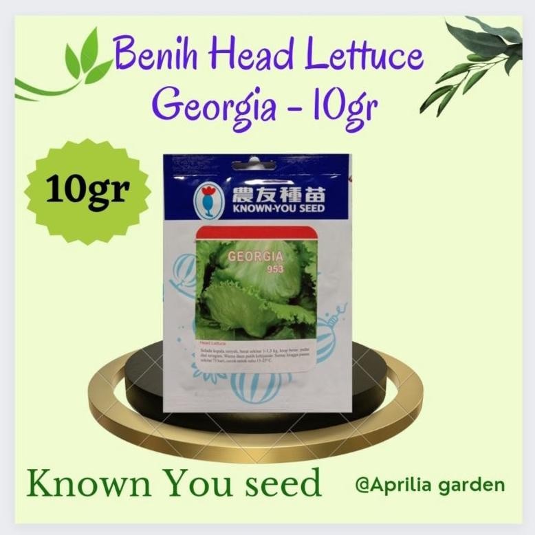 BN Benih Selada/Head Lettuce Georgia /General 10gr Original Known You Seed TERLARIS