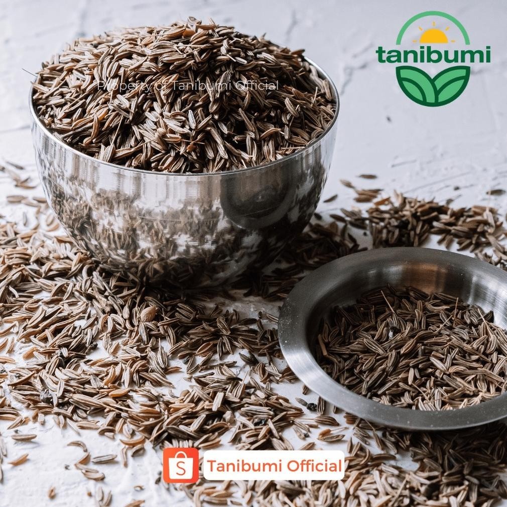 

BN Termurah Caraway Seed | 500g | Jintan Masak | Biji Jinten Karaway Premium TERLARIS