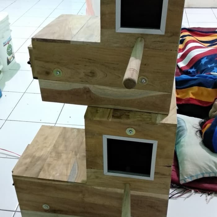 Glodok Ternak Burung Sun Conure / Nuri / Bayan / Monk / Wbc / Bhc Dll