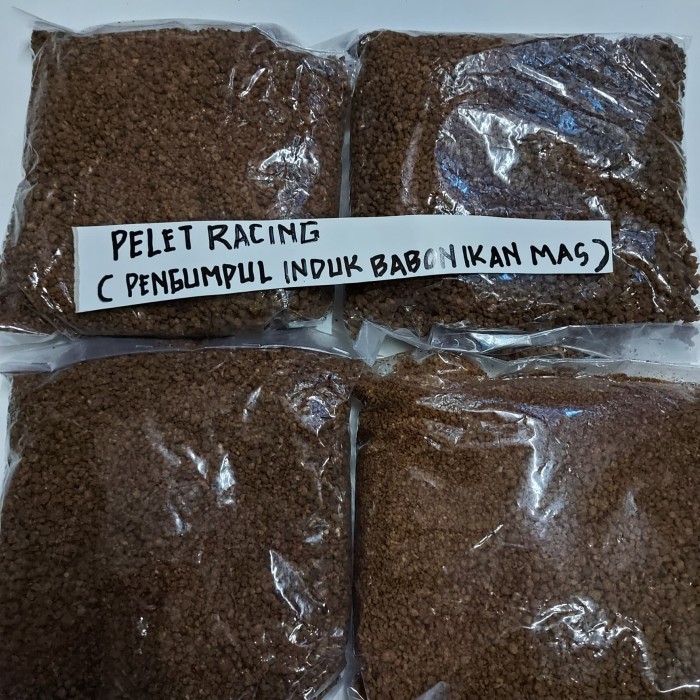 Pelet Racing Pengumpul Induk Babon Ikan Mas