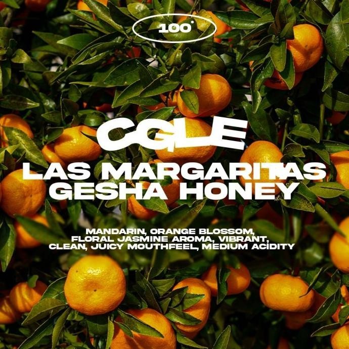 

Biji Kopi Arabika Manual Brew-Cgle Las Margaritas Gesha Honey - 100 Gr