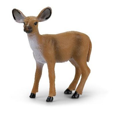 

New Canna - Female White Tailed Deer X2036