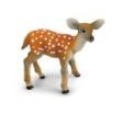 

New Canna - Sika Fawn X2080