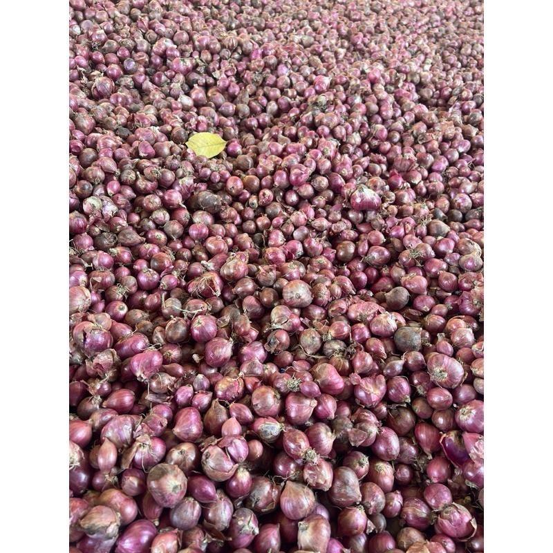 

BAWANG MERAH TANGGUNG CAMPUR 1 Kg - TAJUK NGANJUK GRADE B Super Besar Berkualitas