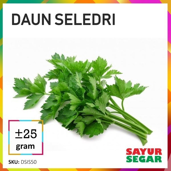 

Daun Seledri 1 Ikat Fresh