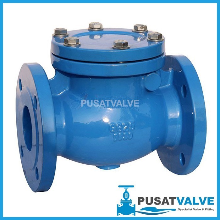 4 INCH SWING CHECK VALVE CAST IRON JIS10K