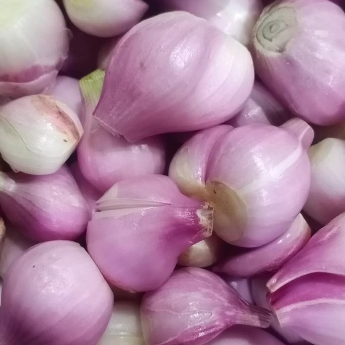 

NEW PRODUK BAWANG MERAH KUPAS BREBES SUPER !!!!!