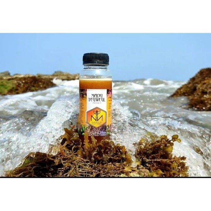 

Madu Teuweul NN/Trigona NN 700gr (Madu Ternak) RR