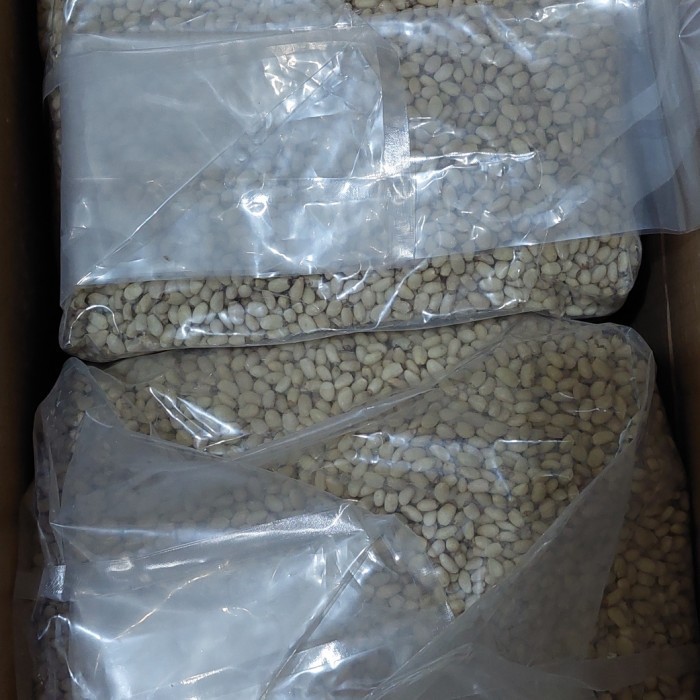 

Pine Nut 12,5 kg