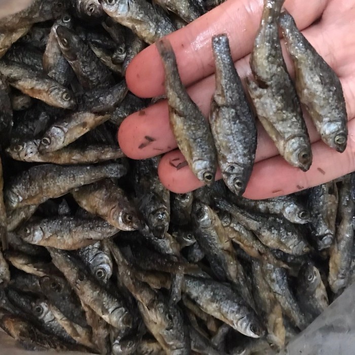 

ikan bilih padang / bilis singkarak 500gr - Sedang