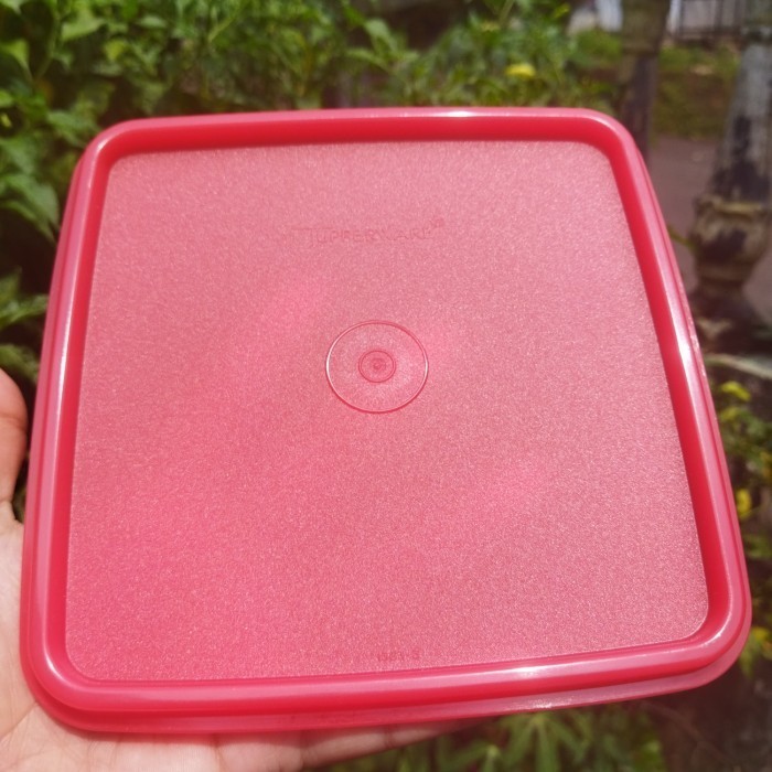 Seal Tupperware Seal Carry All Set Tutup Rantang