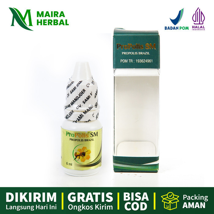 OBAT INGUS KUNING BAU BUSUK, HIDUNG MELER BERBAU, RINITIS, PROPOLIS SM