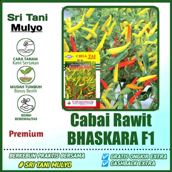 10 Biji - Benih Cabai Rawit Unggul BHASKARA F1 - Cap BISI Bibit Sayur