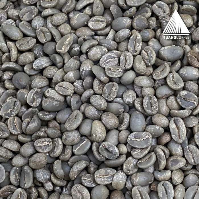 

Green Bean Arabica Classic Washed Tuang Coffee Flores Manggarai