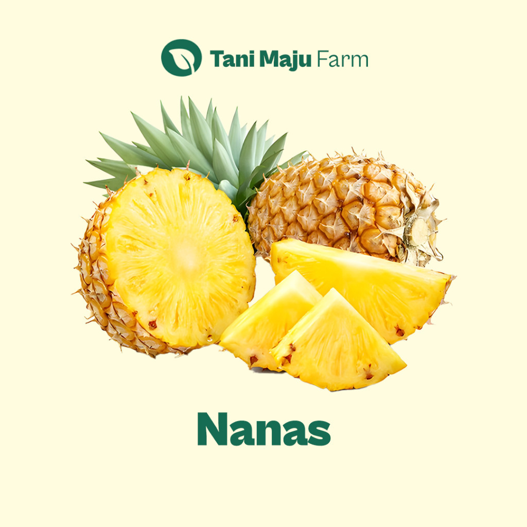 

TANI MAJU - Nanas Pineapple Fresh (1 pcs) - Buah