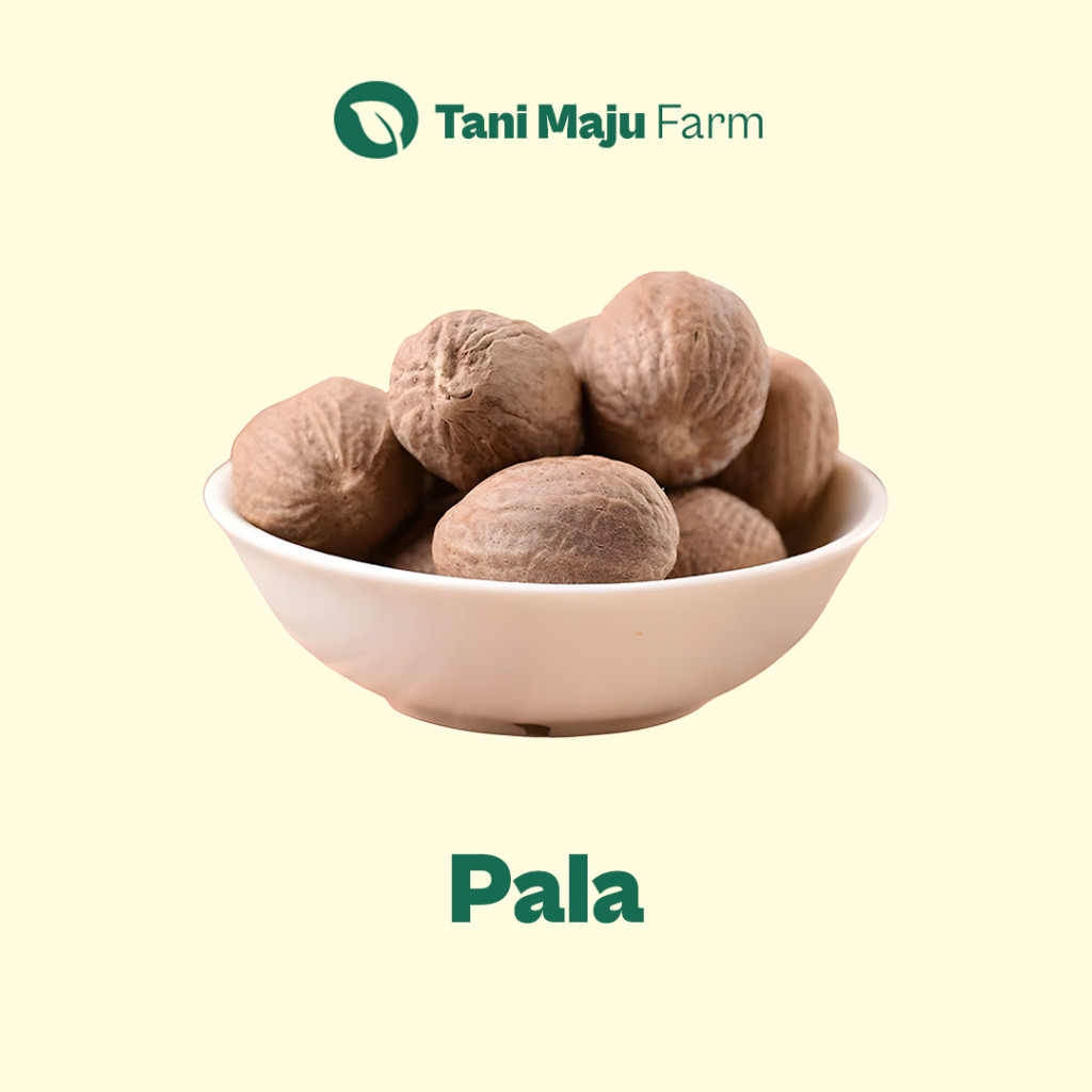 

TANI MAJU - Pala Nutmeg Organik (1 pcs) - Rempah & Bumbu