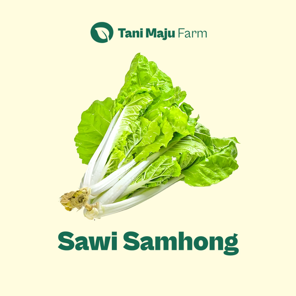

TANI MAJU - Sawi Samhong Sawi Keriting Samfeng Hidroponik Fresh Organik (500 gram) - Sayuran