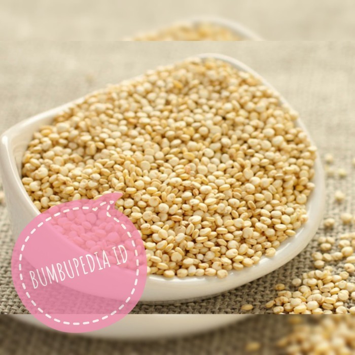 

Terlaris White Quinoa 500 gr - Makanan Sehat Pengganti Nasi - Quinoa Seed Putih SALE