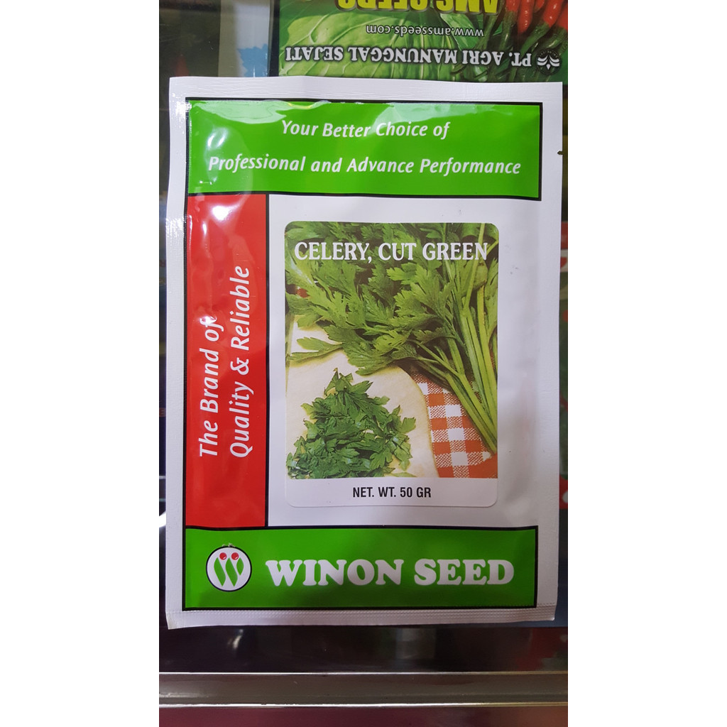 Bibit Seledri Benih Seledri Celery Cut Green 50Gr