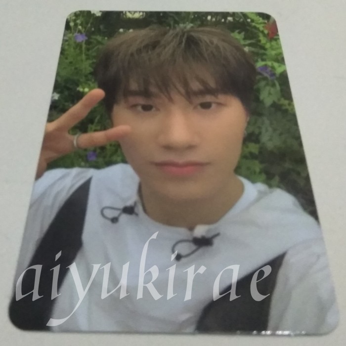 Photocard Official Treasure (Yedam)
