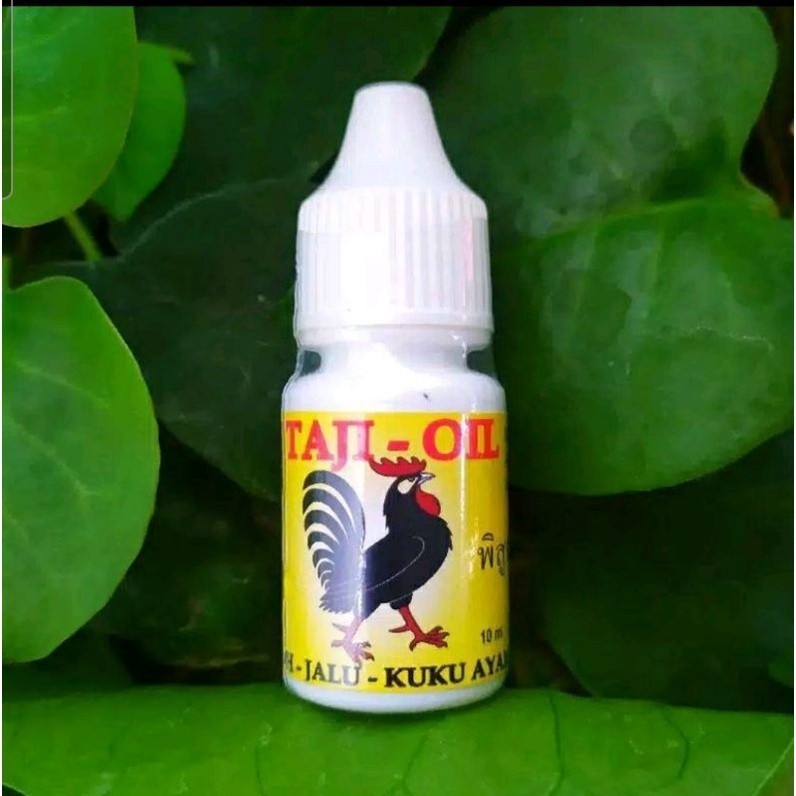 TAJI OIL PENGERAS TAJI JALU PARUH PATOK AYAM TARUNG KUAT CEPAT TUA KUKUNYA asli ori Lampam ID