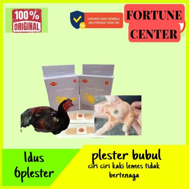 koyo plester bubul obat ayam bubulan ayam lumpuh 1dus isi 6 plester impor cina