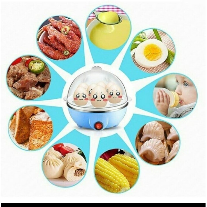 Magic Egg Steamer Tf