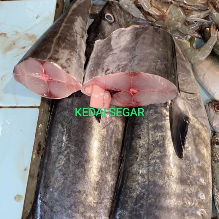 

IKAN TENGGIRI POTONG SUPER - 500 gram