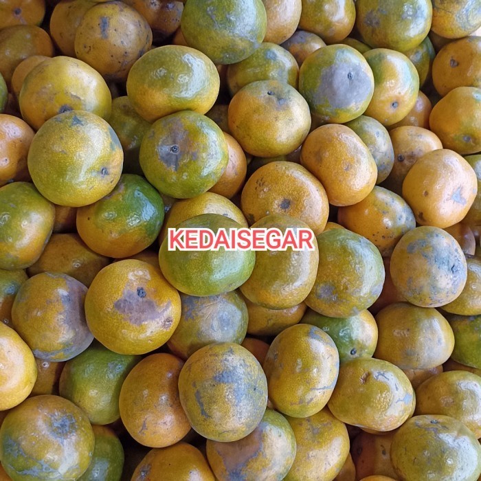 

JERUK MEDAN MANIS 1 KG - SEDANG