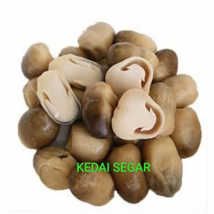 

JAMUR MERANG SEGAR 250GR