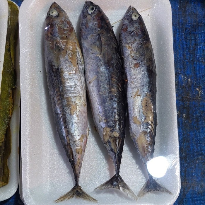 

IKAN CUE TONGKOL ISI 3