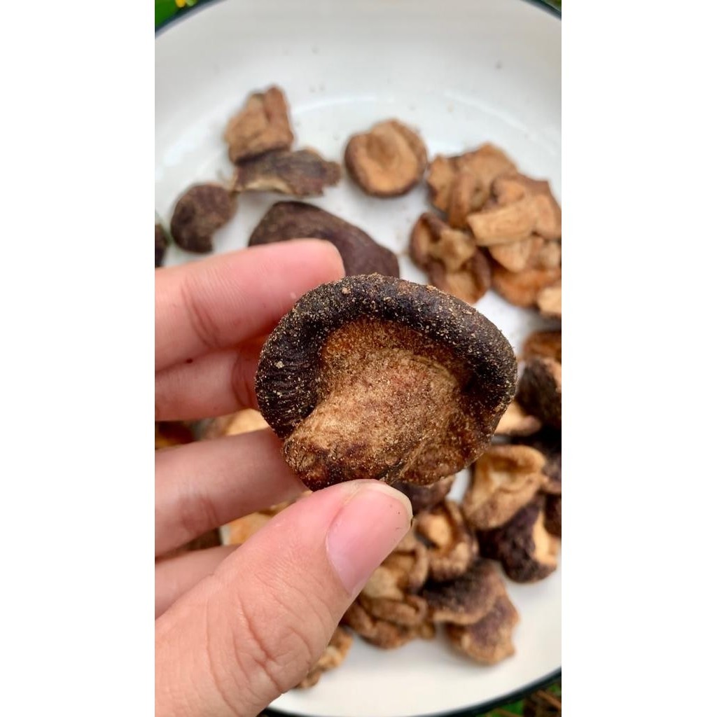 

PRODUK TERBATAS Mushroom Chips-Freeze Dried Mushroom-Keripik Jamur-Portobello Chips