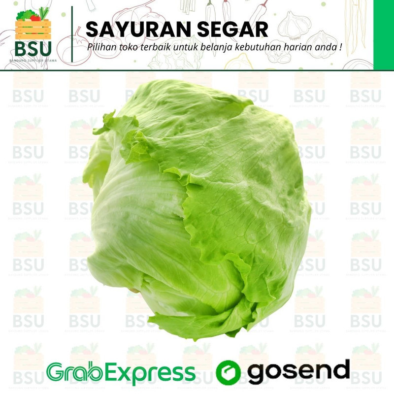 

Sayuran Segar Bandung - Selada Lettuce 500 gram